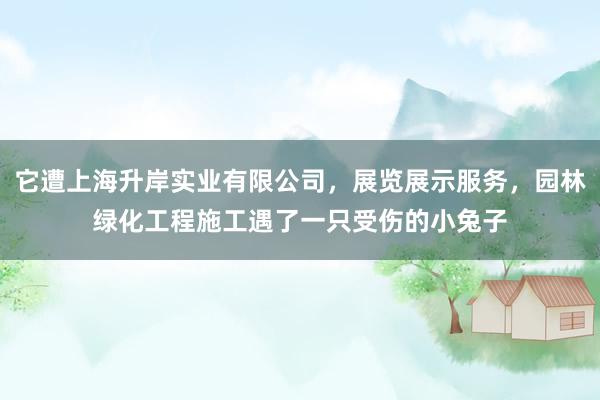 它遭上海升岸实业有限公司，展览展示服务，园林绿化工程施工遇了一只受伤的小兔子